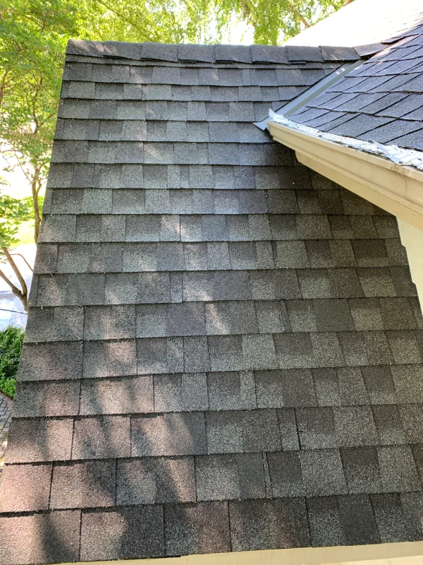 up close view of roof